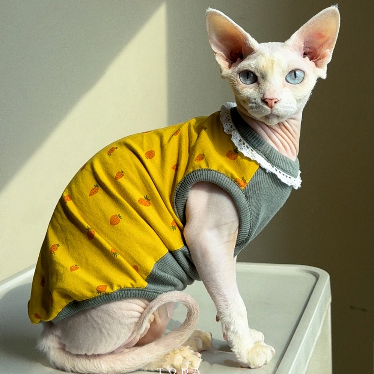 Yellow Summer Clothing - ملابس للقطط لفصل الربيع، سترة قطنية