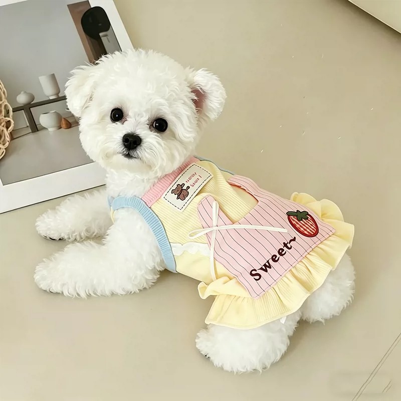 ملابس كلاب كورية صفراء وزرقاء، - مراجعة Yellow Summer Clothing وسعره