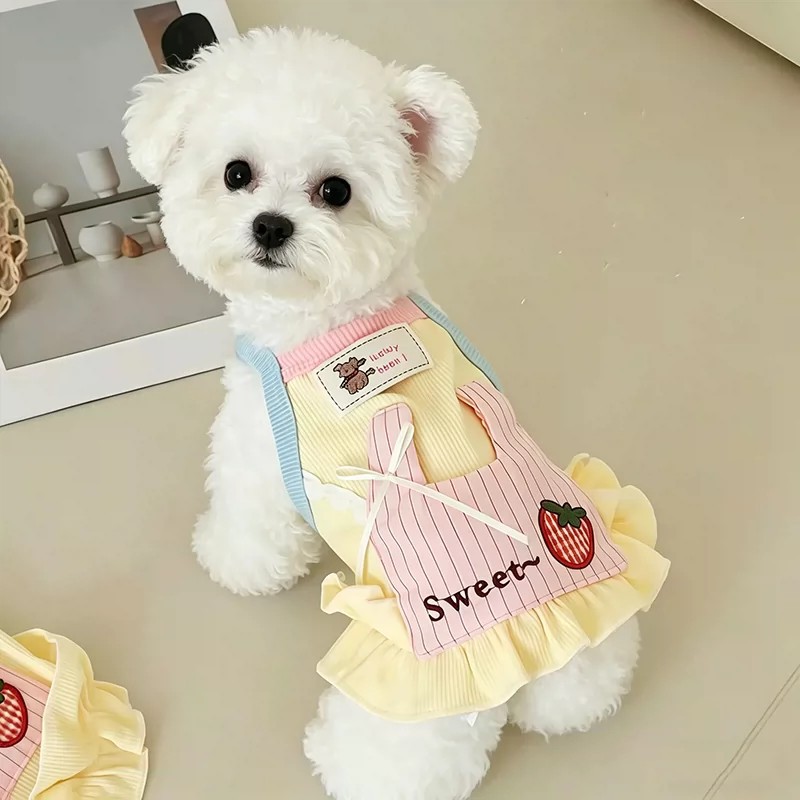 ملابس كلاب كورية صفراء وزرقاء، - مراجعة Yellow Summer Clothing وسعره